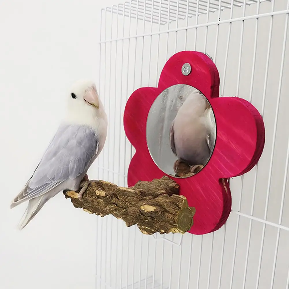 Можно попугаю зеркало. Деревянное зеркало для попугая. Зеркало для попугая в клетку. Попугай и зеркало. Petmax зеркало для птиц.